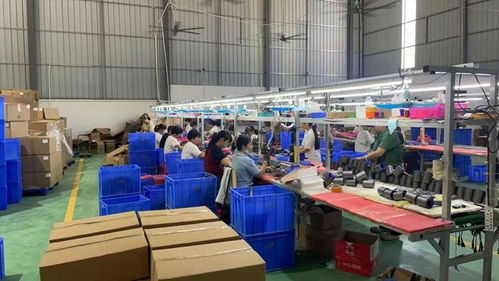 點贊！化州這個鎮(zhèn)“微工廠”遍地開花，留守婦女掙錢顧家兩不誤